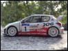 Моя первая WRC: Peugeot 206